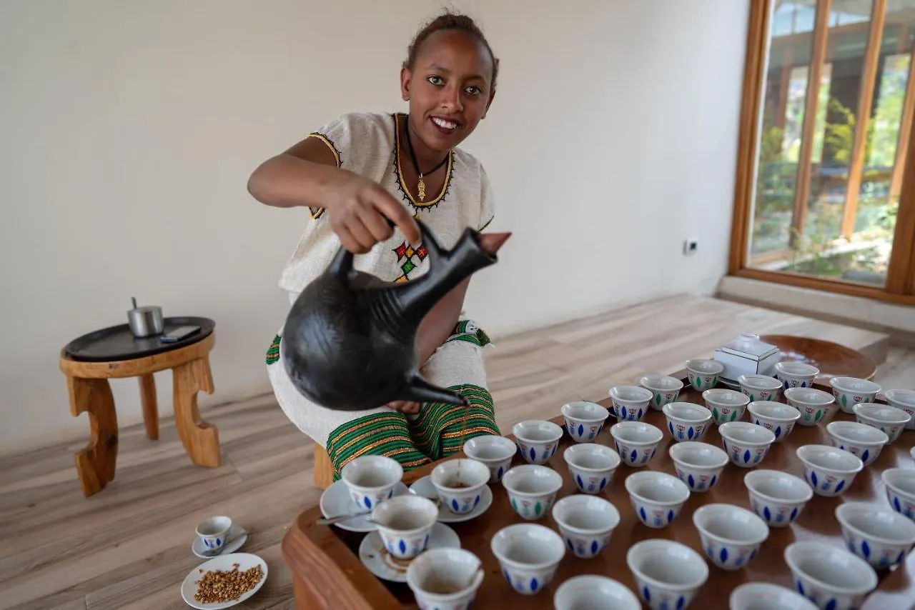 Mezena Resort & Spa Lalibela 0*,